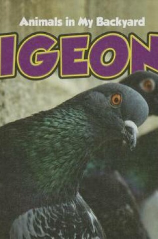 Cover of Pigeons