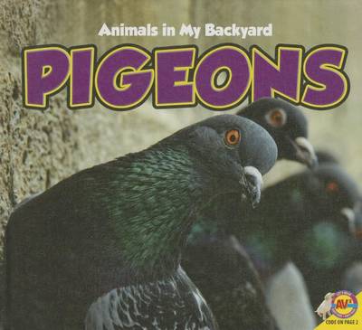 Book cover for Pigeons