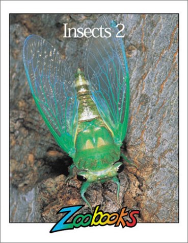 Book cover for Insects II
