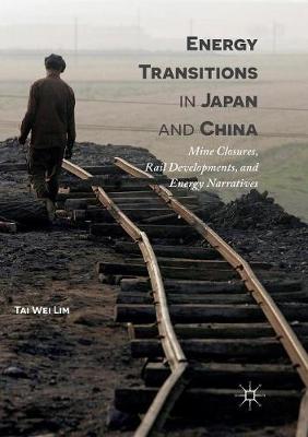 Book cover for Energy Transitions in Japan and China