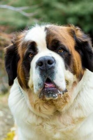 Cover of Adorable St. Bernard Dog Portrait