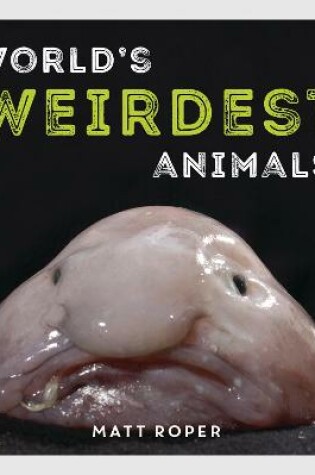 Cover of World's Weirdest Animals