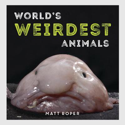 Book cover for World's Weirdest Animals