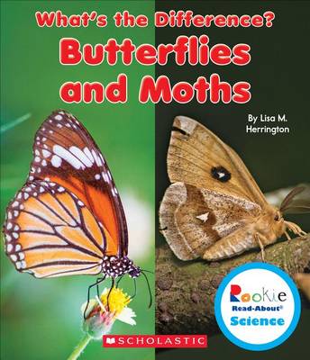 Cover of Butterflies and Moths