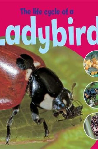Cover of The Life Cycle of a Ladybird