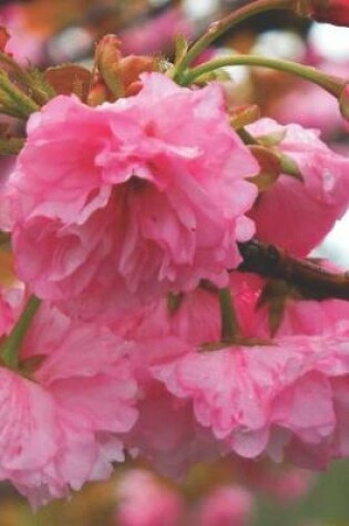 Cover of Pretty Blank Lined Journal for daily thoughts notebook Lovely Lake Arrowhead Photograph Pink Cherry Blossom