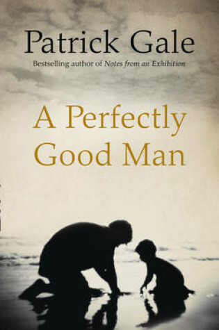 Cover of A Perfectly Good Man