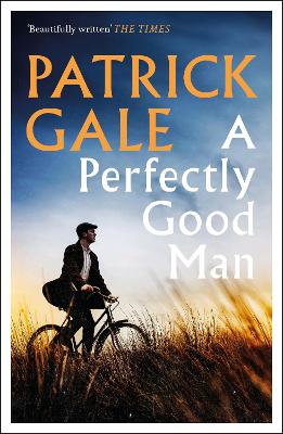 Book cover for A Perfectly Good Man