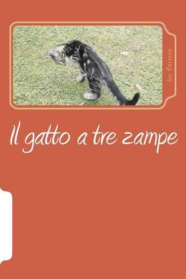 Book cover for Il gatto a tre zampe