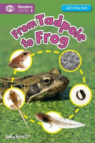 Cover of Let's Find Out: Tadpole to Frog