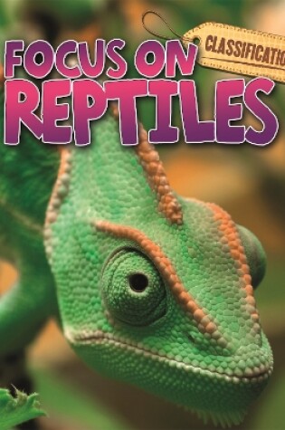 Cover of Classification: Focus on: Reptiles