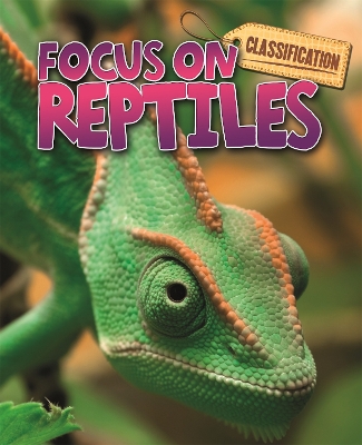 Book cover for Classification: Focus on: Reptiles