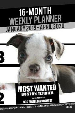 Cover of 16-Month January 2019- April 2020 Weekly Planner - Most Wanted Boston Terrier