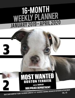 Book cover for 16-Month January 2019- April 2020 Weekly Planner - Most Wanted Boston Terrier