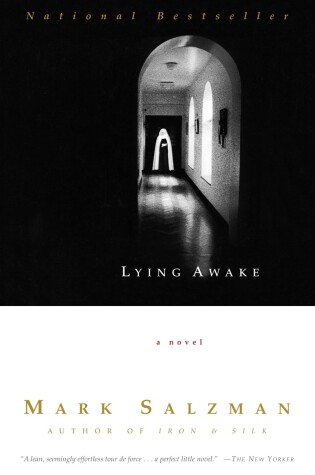 Cover of Lying Awake