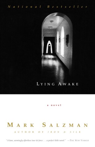Book cover for Lying Awake