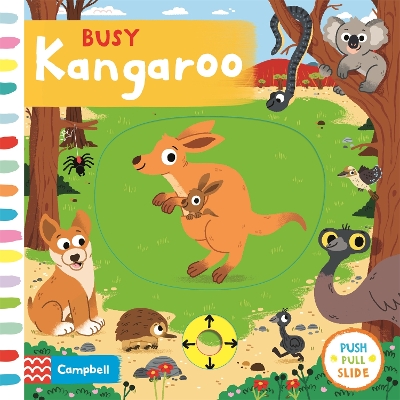 Book cover for Busy Kangaroo