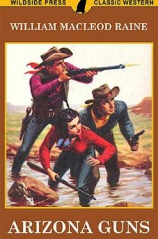 Cover of Arizona Guns