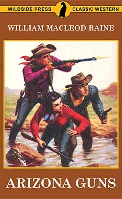 Book cover for Arizona Guns