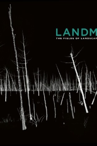 Cover of Landmark