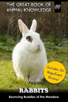 Cover of Rabbits