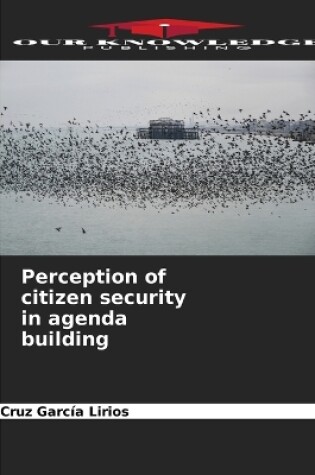 Cover of Perception of citizen security in agenda building