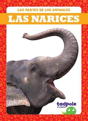 Book cover for Las Narices (Noses)