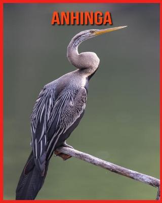 Book cover for Anhinga