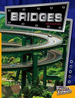 Book cover for Bridges