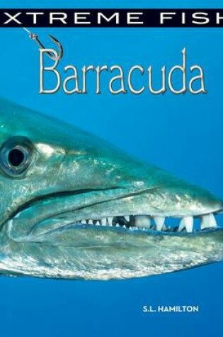 Cover of Barracuda