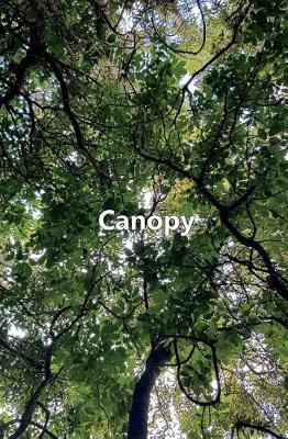 Book cover for Canopy