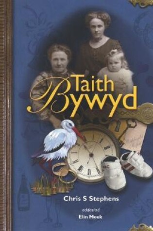 Cover of Taith Bywyd