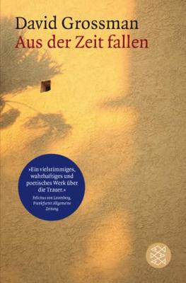 Book cover for Aus der Zeit fallen