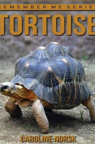 Cover of Tortoise