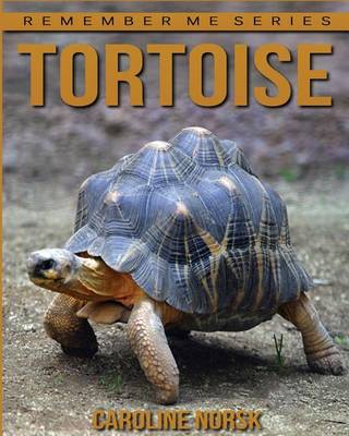 Book cover for Tortoise