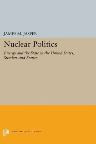 Cover of Nuclear Politics