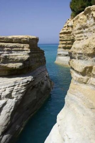 Cover of Limestone Cliffs on the Ocean (for the Love of Nature)