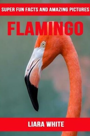 Cover of Flamingo