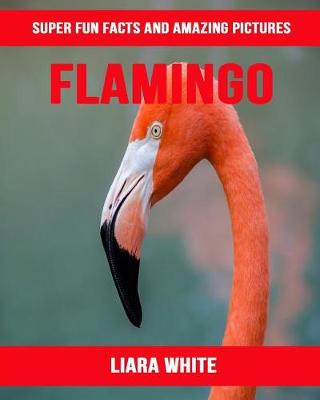 Book cover for Flamingo