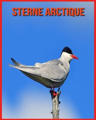 Book cover for Sterne Arctique