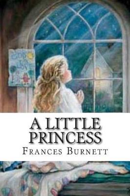 Book cover for A Little Princess