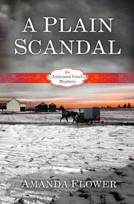Book cover for A Plain Scandal