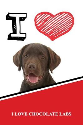 Book cover for I Love Chocolate Labs