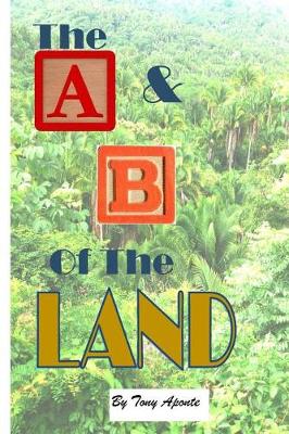 Book cover for BW A & B of the land