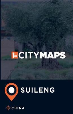 Book cover for City Maps Suileng China