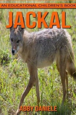 Cover of Jackal! An Educational Children's Book about Jackal with Fun Facts & Photos