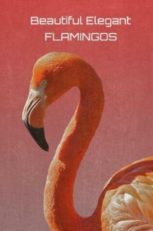 Cover of Flamingo