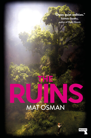 Cover of The Ruins