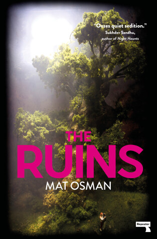 Book cover for The Ruins