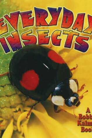 Cover of Everyday Insects